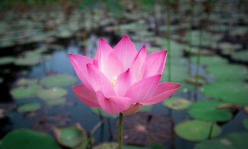 两个月孩子指甲缝脏-专业两个月宝宝母乳多久喂一次平台-两个月的婴儿指甲盖里像有脏东西是黑的是怎么回事